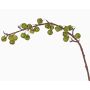 Decorative apple tree branch BORIAN with fruits, green, 37"/95cm