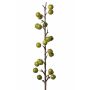 Decorative apple tree branch BORIAN with fruits, green, 3ft/95cm