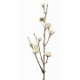 Decorative spray Callicarpa bodinieri LARINA with berries, cream, 20"/50cm