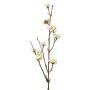 Decorative spray Callicarpa bodinieri LARINA with berries, cream, 20"/50cm