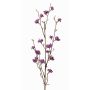 Decorative spray Callicarpa bodinieri LARINA with berries, violet, 28"/70cm