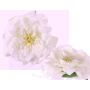 Decorative rose blossom SASKIA, floating, cream, 2"/5cm, Ø 5.9"/15cm