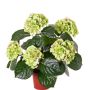 Textile flower hydrangea TEMARI, green, 16"/40cm, Ø 3.9"-4.7"/10-12cm