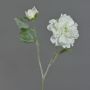Silk peony MALINE, snow, cream, 24"/60cm, Ø 4.7"/12cm