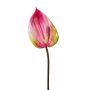 Decorative flower Anthurium GRUNT, pink, 30"/75cm