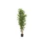 ELISSO plastic bamboo, real trunks, 180 cm