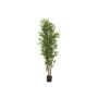 Plastic bamboo ELISSO, real trunks, 6ft/180cm