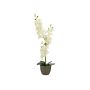 Textile Phalaenopsis orchid KATALIN, decorative pot, cream, 80 cm