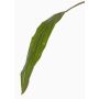 Decorative Cordyline leaf ELARA, green, 35"/90cm