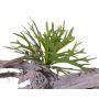 Artificial fern staghorn TENUK on spike, green, 8"/20cm, Ø 12"/30cm