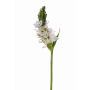 Artificial flower star-of-Bethlehem LIORA, white, 20"/50cm, Ø 2.4"/6cm