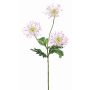 Artificial chrysanthemum SOLVIE, white-pink, 28"/70cm, Ø 3.9"/10cm