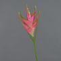 Fake Heliconia flower TOMKE, pink-green, 31"/80cm, Ø 12"/30cm