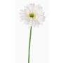 Artificial Gerbera HELLI, cream, 26"/65cm, Ø 4.7"/12cm