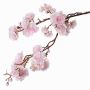Decorative branch Japanese ornamental cherry RUKIA, flowering, light pink, 3ft/90cm