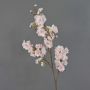 Decorative branch Japanese ornamental cherry RUKIA, flowering, light pink, 3ft/90cm