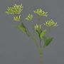 Decorative dogwood branch JOSIA with buds, white-green, 20"/50cm