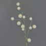 Artificial ornamental leek EMRAH, cream, 31"/80cm, Ø 0.8"-1.6"/2-4cm
