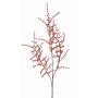 Decorative Asparagus acutifolius branch HANS, orange, 28"/70cm