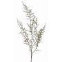 Artificial Asparagus acutifolius spray JOCHEN, green, 4ft/130cm