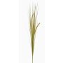 Decorative foxtail grass JILL, spike, panicles, green-yellow, 35"/90cm