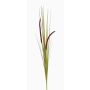 Decorative foxtail grass JILL, spike, panicles, green-violet, 35"/90cm