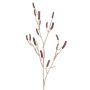 Decorative Callistemon branch SIRIUS with fruits, dark red, 4ft/120cm