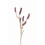 Artificial callistemon spray HEMES with fruits, dark red, 24"/60cm