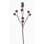 Decorative eucalyptus spray BASILIUS with fruits, brown, 24"/60cm