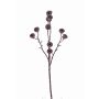 Decorative eucalyptus spray BASILIUS with fruits, brown, 24"/60cm