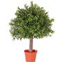 Decorative boxwood TOM, real trunk, crossdoor, 18"/45cm, Ø 12"/30cm