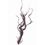 Decorative corkscrew willow branch JACE, brown-red, 22"/55cm