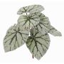 Artificial begonia rex KATRICE, spike, green-grey, 10"/25cm