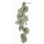 Decorative begonia rex spray KATRICE, green-grey, 4ft/110cm