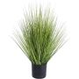 Decorative switchgrass ZAYN, green, 24"/60cm
