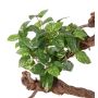 Decorative pothos plant NAEL, spike, flame retardant, green-white, 20"/50cm