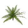 Decorative Boston fern SASCHA on spike, crossdoor, green, 10"/25cm, Ø 20"/50cm