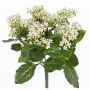 Artificial Kalanchoe LORRE on spike, crossdoor, white, 14"/35cm, Ø12"/30cm