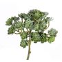 Artificial Echeveria BLAIR, spike, green, 8"/20cm, Ø 3.9"/10cm