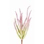 Decorative Euphorbia trigona REESE on spike, pink-green, 12"/30cm, Ø 8"/20cm