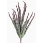 Decorative Euphorbia trigona REESE on spike, red-green, 12"/30cm, Ø8"/20cm