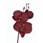 Decorative Phalaenopsis orchid branch AMALITA, dark red, 24"/60cm