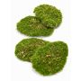 Artificial moss pieces HEFEI, 4 pieces, green, 4.3"x5.9"x2"/11x15x5cm