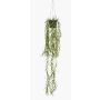 Decorative coral cactus hanging basket BOLTEN, green, 31"/80cm