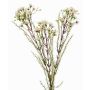 Artificial hoya flower MEDEA, cream, 31"/80cm