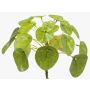 Artificial pancake plant SYBIL, spike, green, 5"/13cm