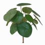 Artificial pancake plant SYBIL, spike, green, 8"/20cm