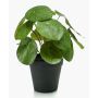 Artificial pancake plant SYBIL, green, 8"/20cm