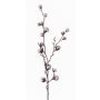 Decorative cotton branch EYCK, flowering, green, 3ft/95cm