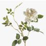 Artificial flower rose branch BEATA, cream, 30"/75cm